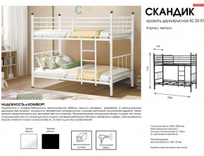 Кровать двухъярусная Скандик 42.20-01 в Горнозаводске - gornozavodsk.magazinmebel.ru | фото - изображение 2