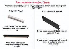 Шкаф с 2 ящиками со штангой Экон ЭШ1-РП-24-4-R-2я в Горнозаводске - gornozavodsk.magazinmebel.ru | фото - изображение 2